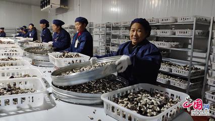 23省市2100余款產(chǎn)品齊聚全國菌博會，《中國食用菌產(chǎn)業(yè)年鑒》即將發(fā)布